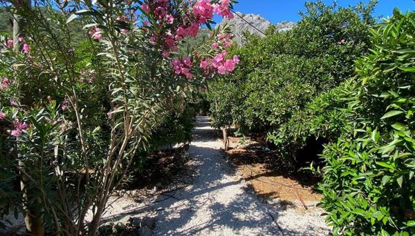 Maya Olympos