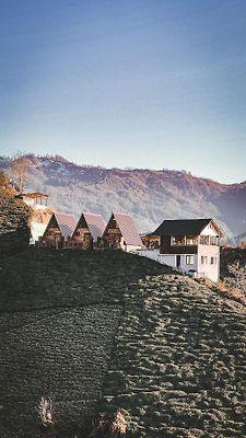 Cavdi Bungalov