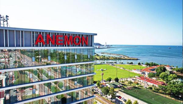 Anemon Samsun