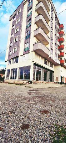 Elva Suites