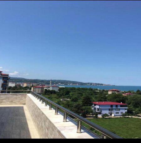 Elva Suites