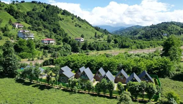 Greenparadise