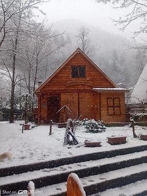 Mjora Bungalow Ayder