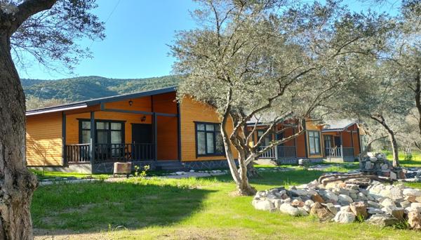 Fatya Maslinka Bungalows