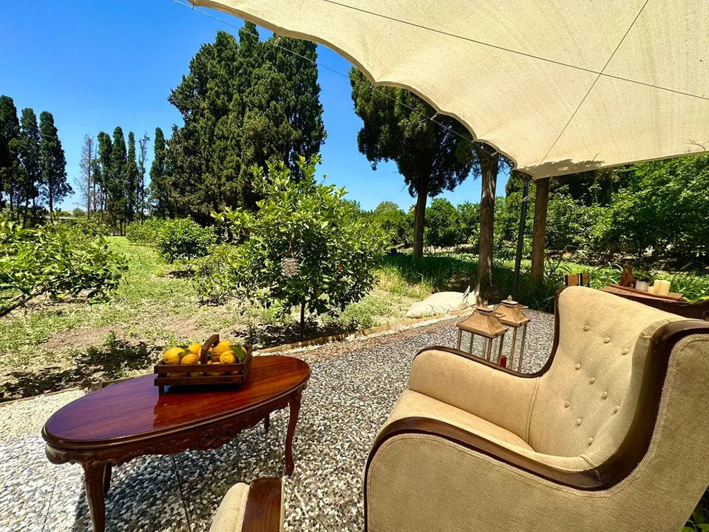 Zeytincik Tiny Çeşme