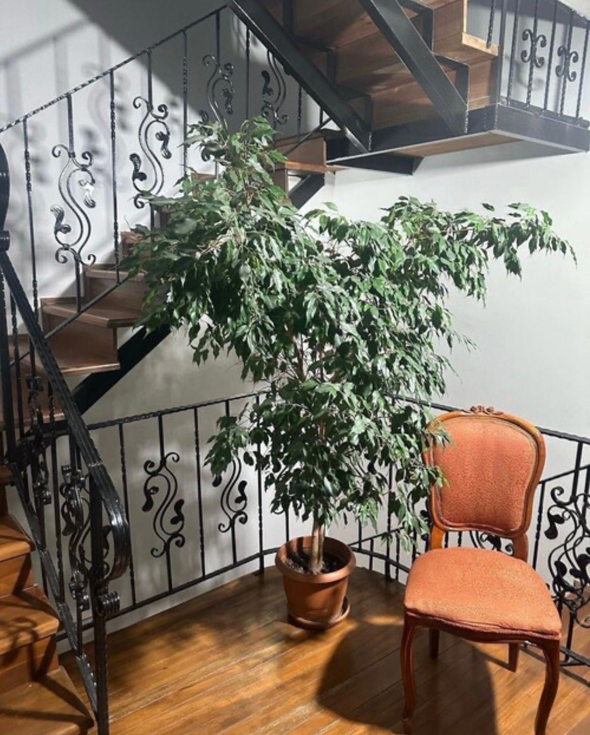 Kardelen Konak Suit Otel