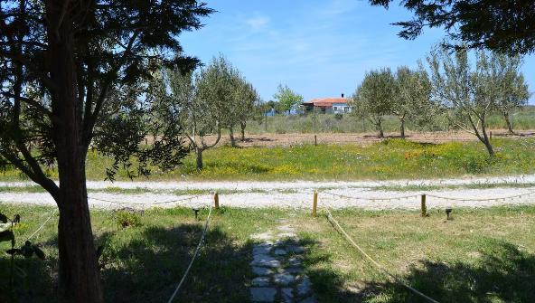 Le Petit Hotel ve Bağ Evi