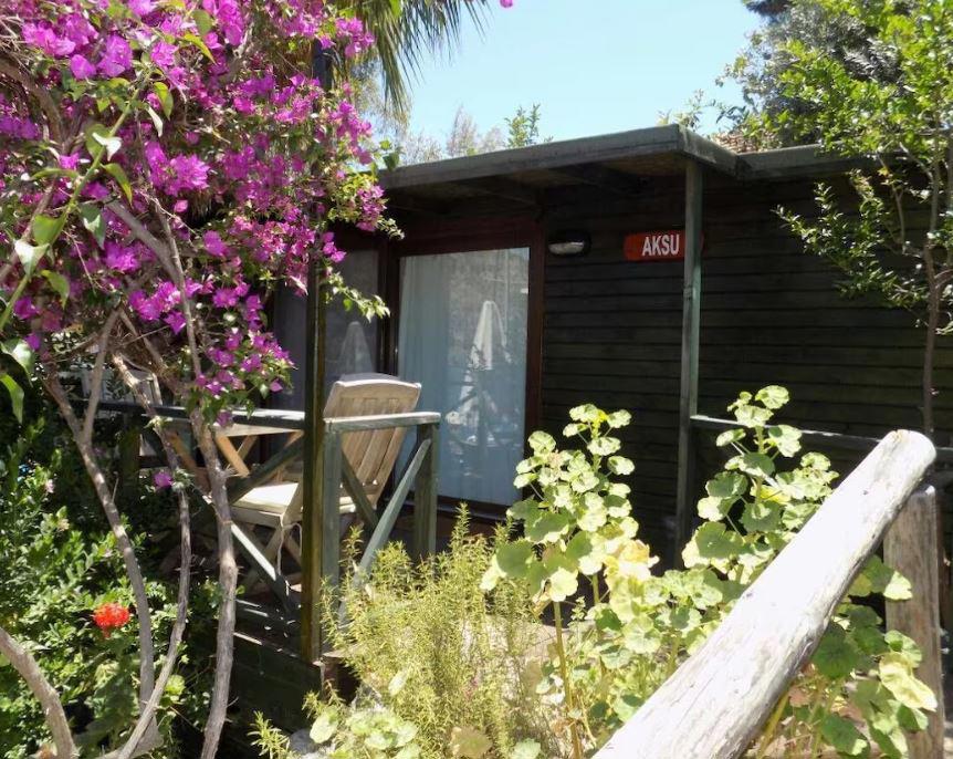 Nuri's Beach Bungalow