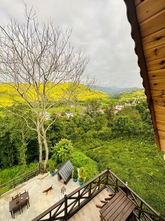 Greenlife Dağ Evleri