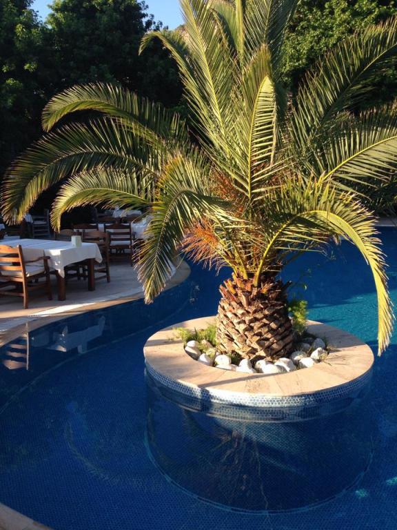 Aydos Club Hotel