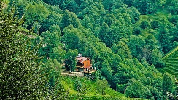 Elagza Dağ Evleri