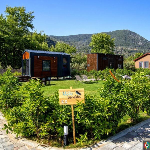Kleva Houses