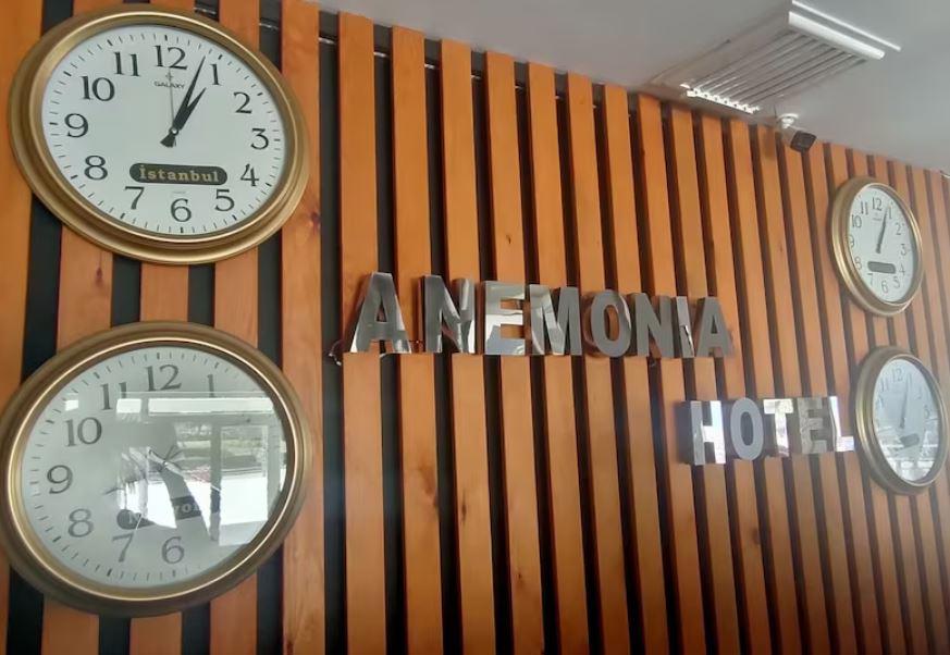 Hotel Anemonia