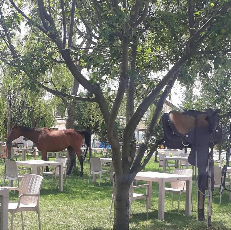 Meriç Otel & Restaurant At Çiftliği Kastamonu