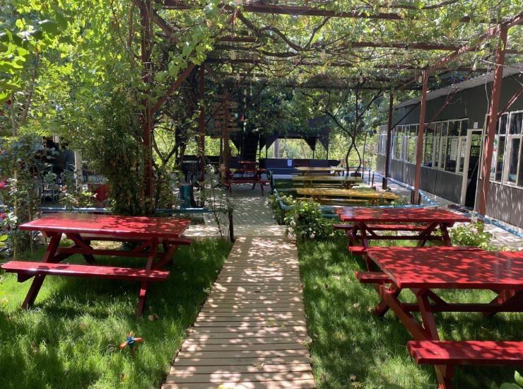 Olimpos Çamlık Pansiyon
