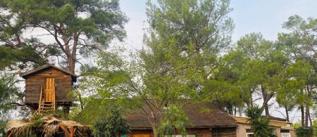 HavaSuPark Bungalows