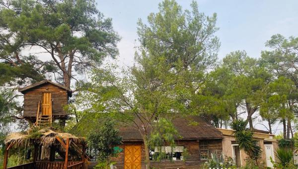 HavaSuPark Bungalows