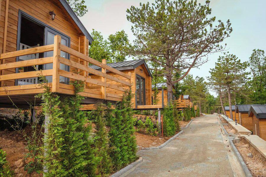 Nefes Dağyenice Doğada