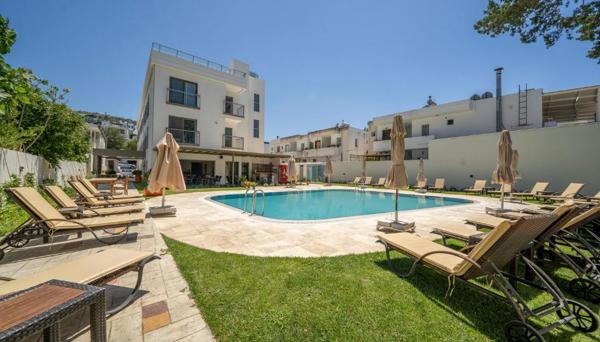 Olive Tree Hotel