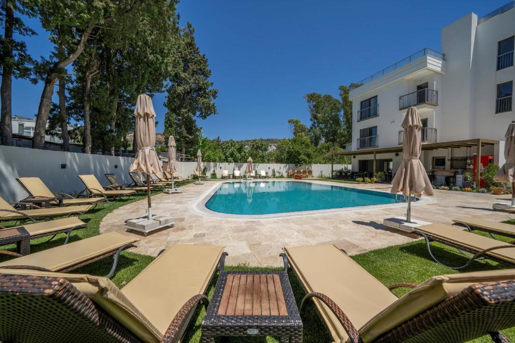 Olive Tree Hotel
