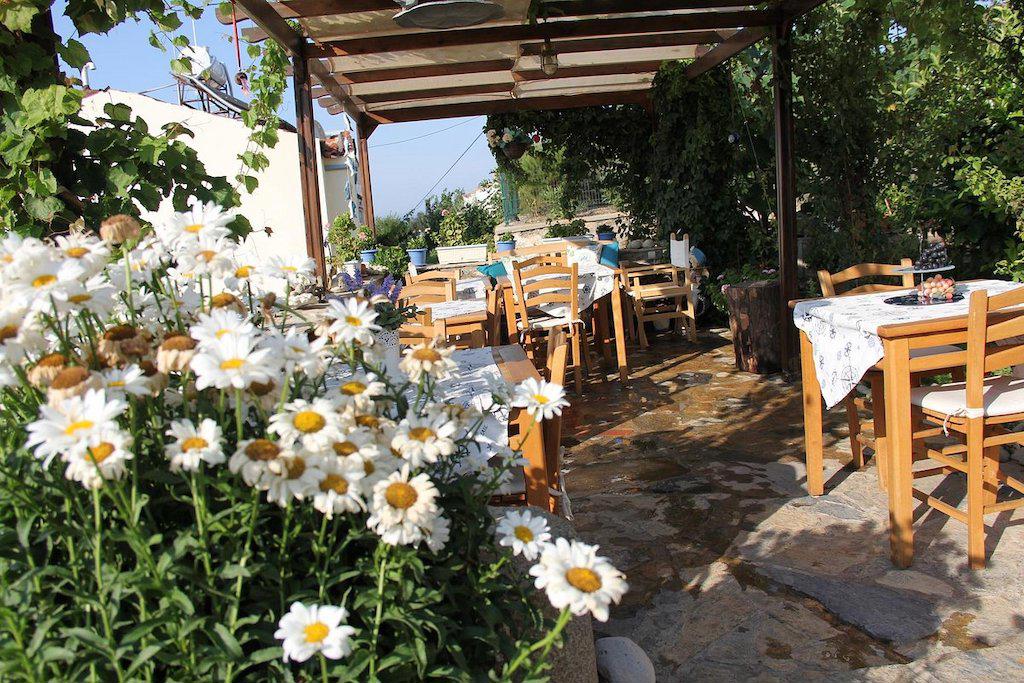 Alesta Hotel
