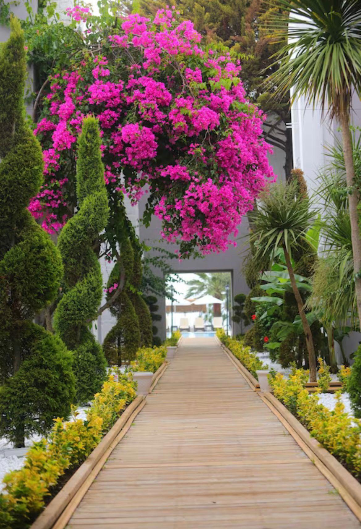 Kamati Luxury Hotel