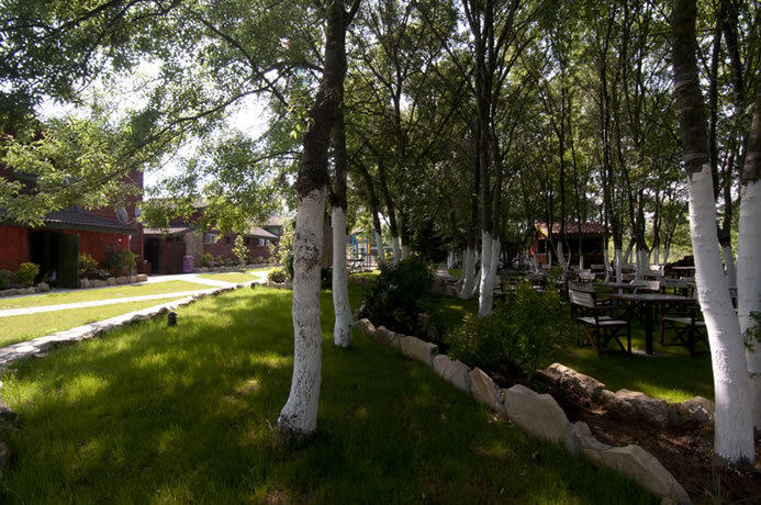 Ağva Wooden House