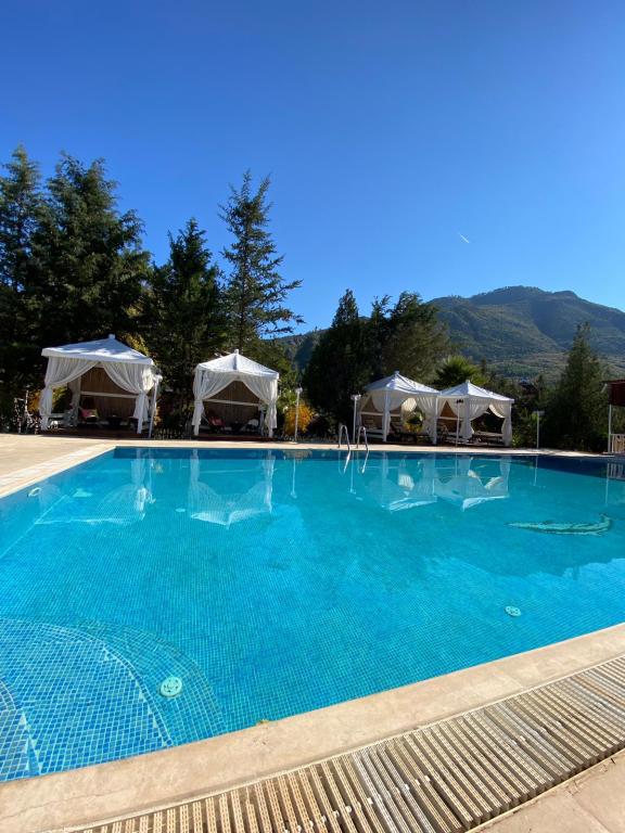 Esvida Arzum Bungalov Olimpos