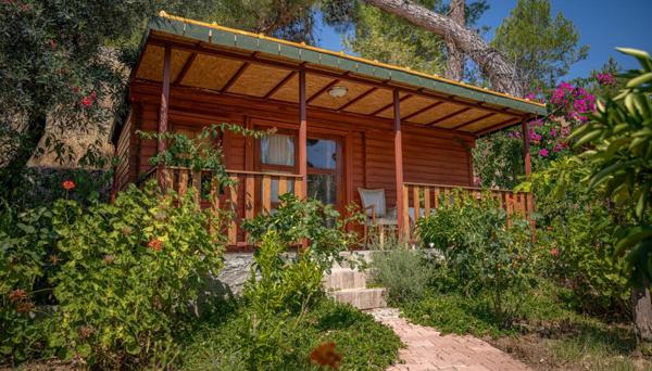 Felicity Hotel & Bungalows