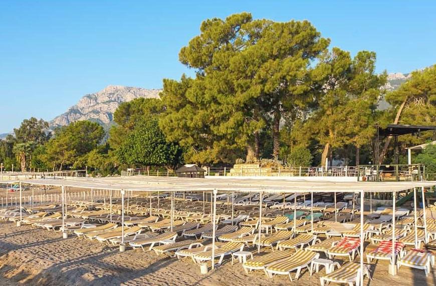 Larissa Art Beach