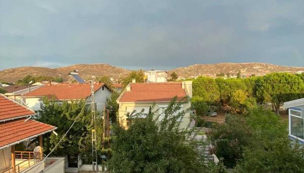 Avşa Papatya Apart