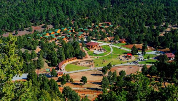 Bağbaşı Yaylası Bungalov Evleri