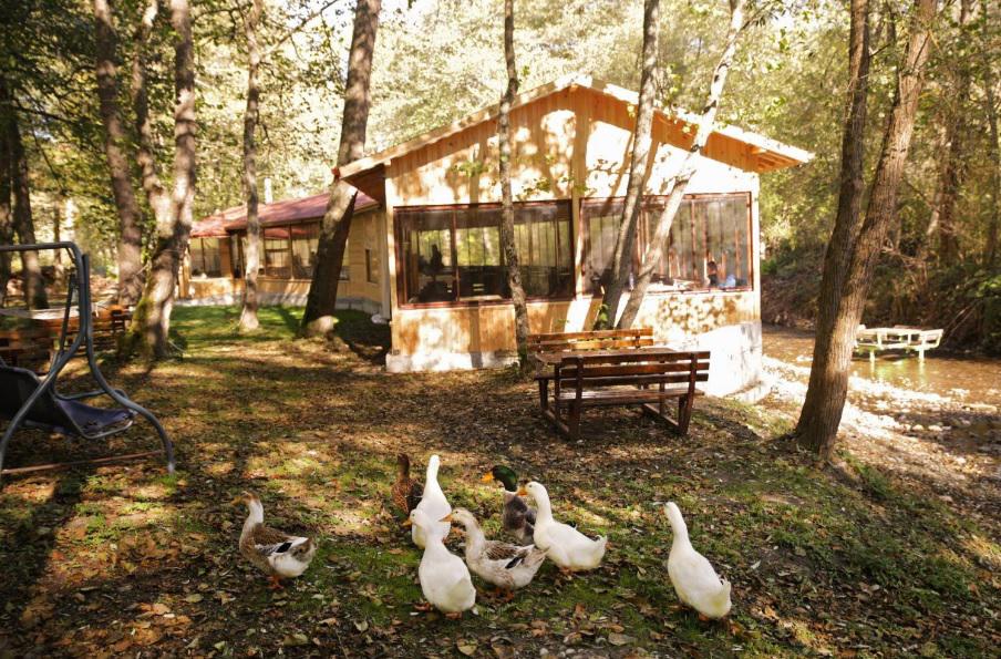 Abant Garden Otel