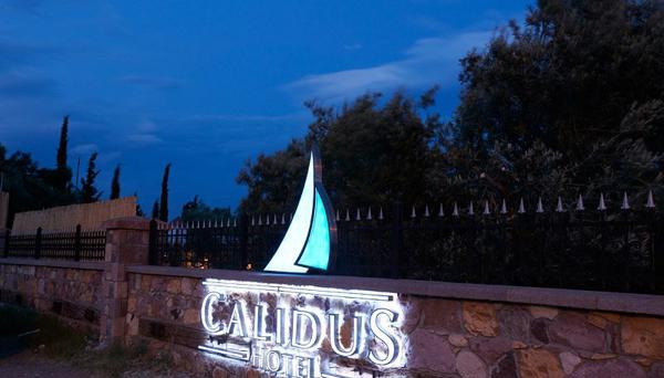 Calidus Hotel