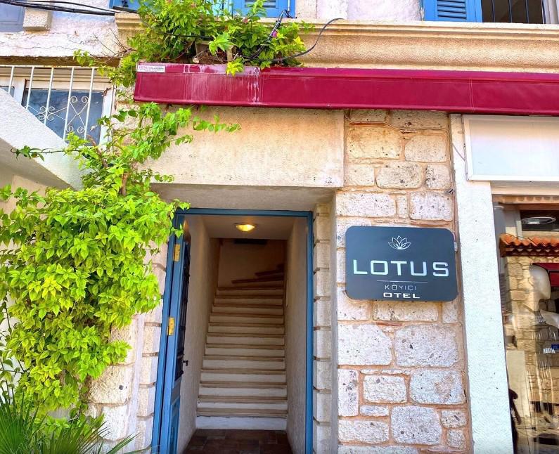 Lotus Köyiçi