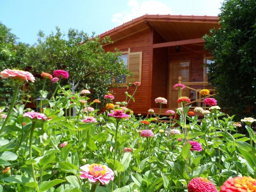Çıralı Uğur Pansiyon Bungalows