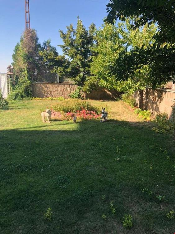 Becen Caravan Village