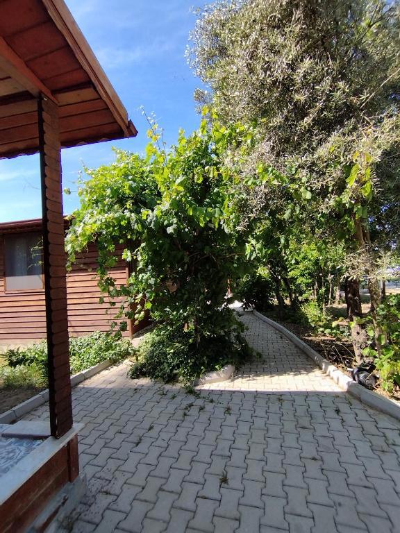 Kandyba Bungalow