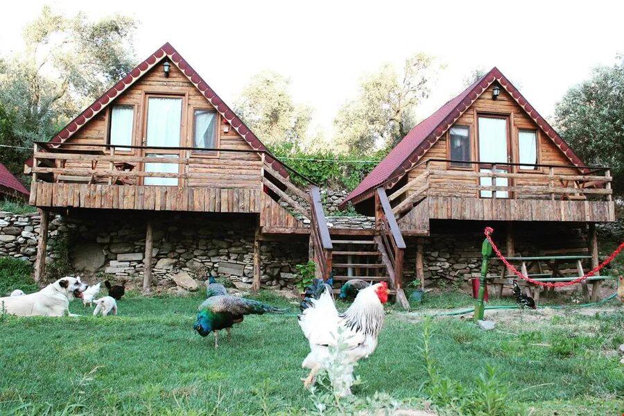 Degirmen Kamping Bungalow