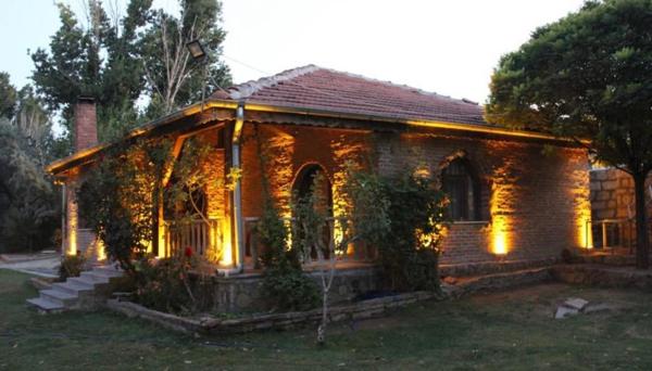 Bungalow Life Garden