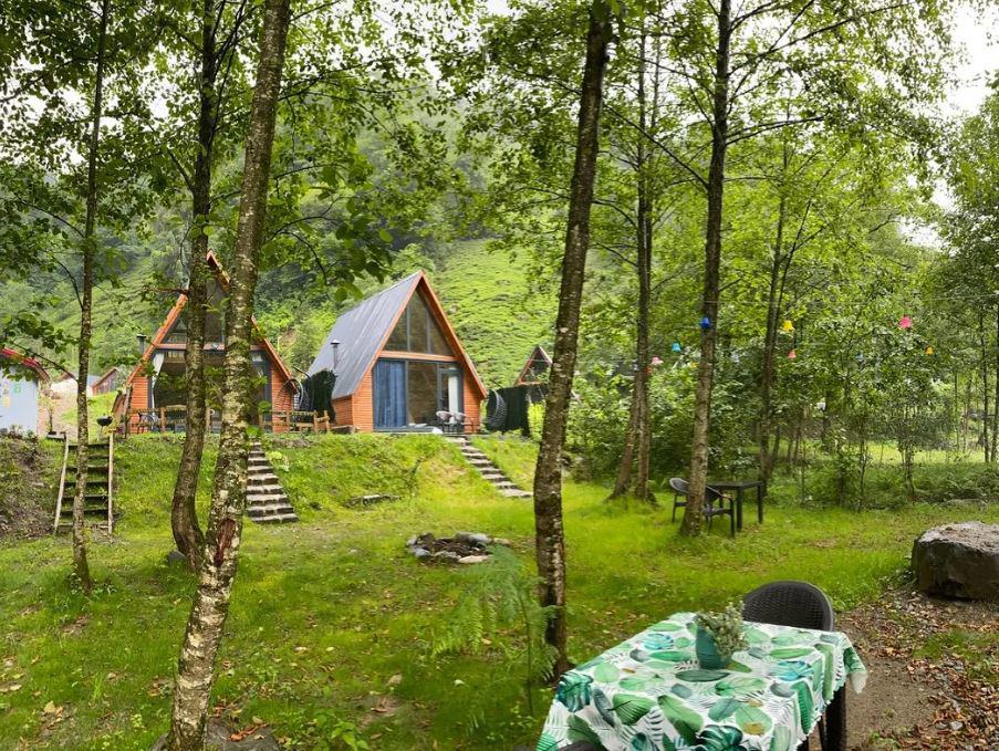 Lelvani Suit Bungalov