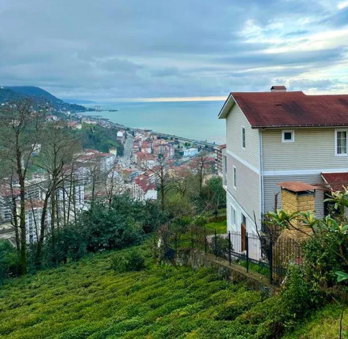 Manzara Dag Evi