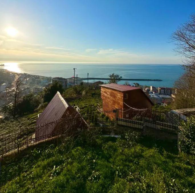 Manzara Dag Evi