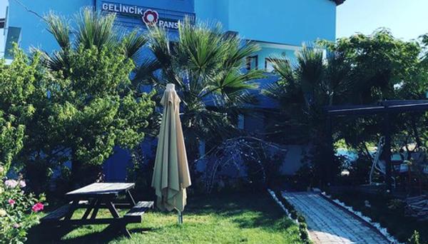 Geyikli Gelincik