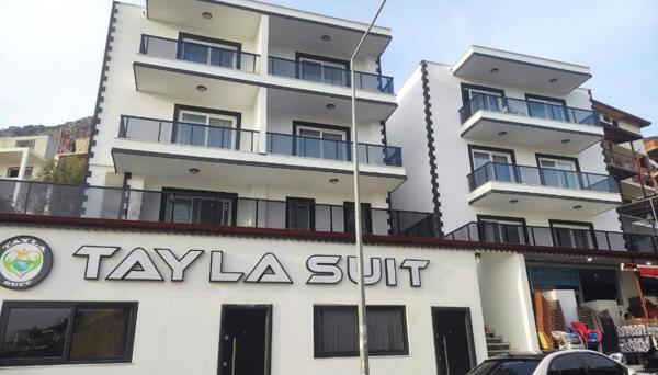 Tayla Suit