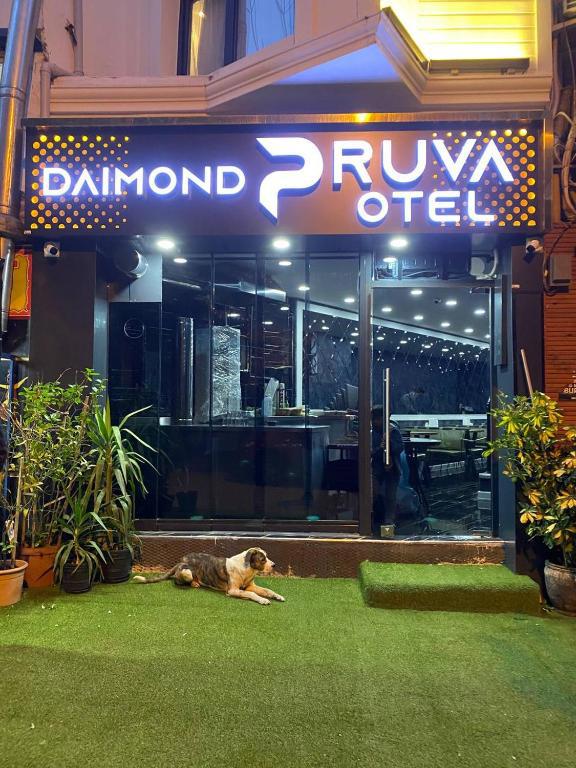Diamond Pruva Hotel Sultan Ahmet