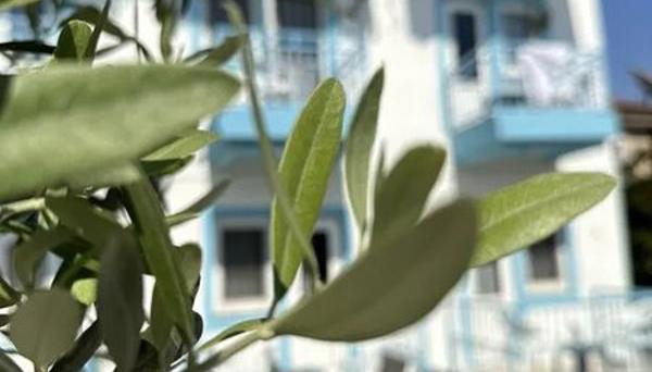 Enjoy Hotel