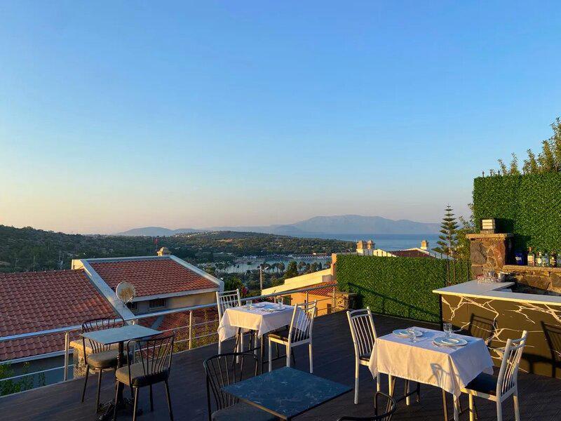 Costa Linn Premium