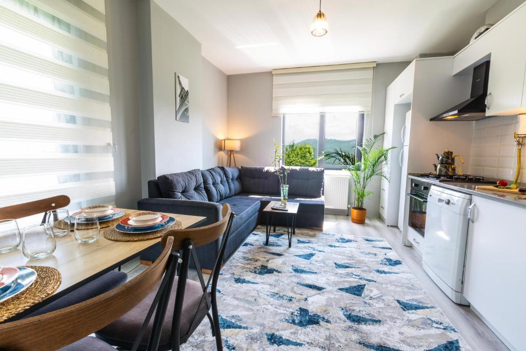 Zal Suite