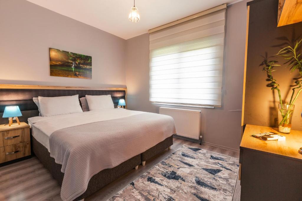 Zal Suite